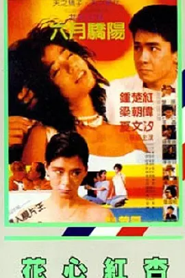 中文字幕av一区二区三区高
